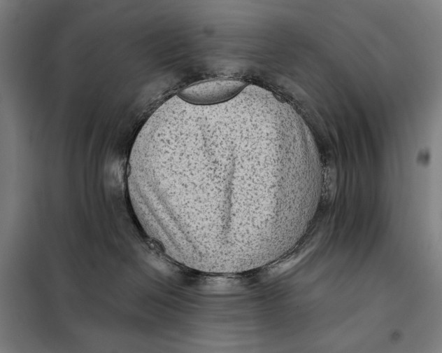 X0000097890286200804041318