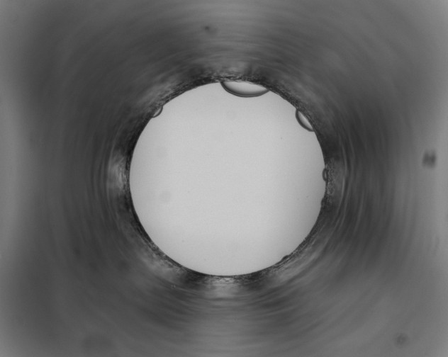 X0000097890287200804041318