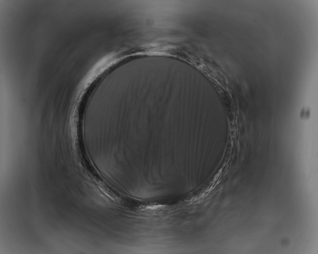 X0000097890295200804041317