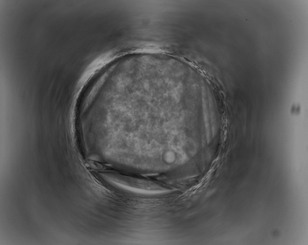 X0000097890296200804041317