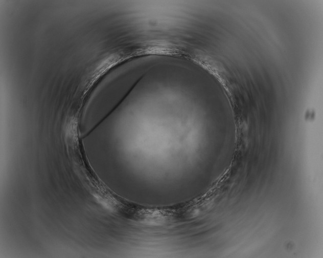 X0000097890297200804041317