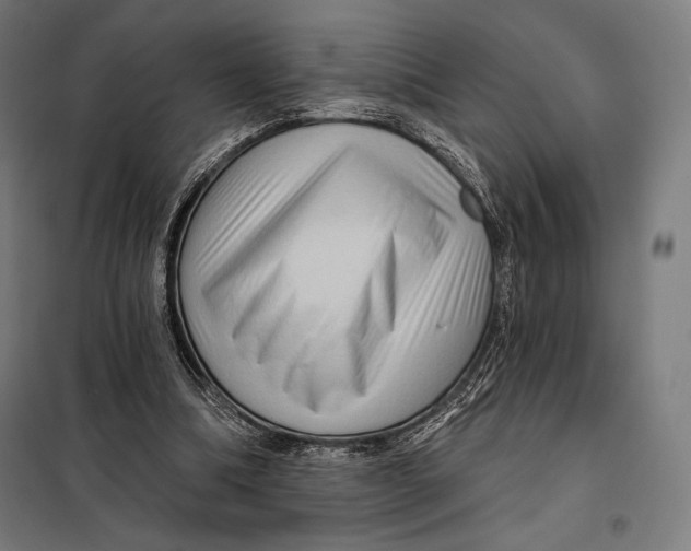 X0000097890298200804041317