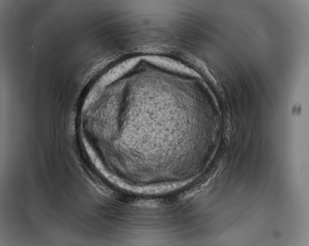 X0000097890299200804041317