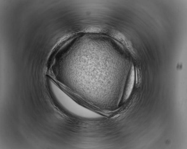 X0000097890300200804041317