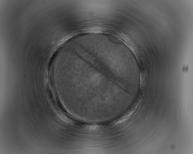 X0000097890301200804041317