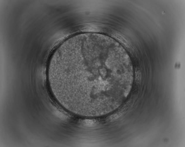 X0000097890302200804041317