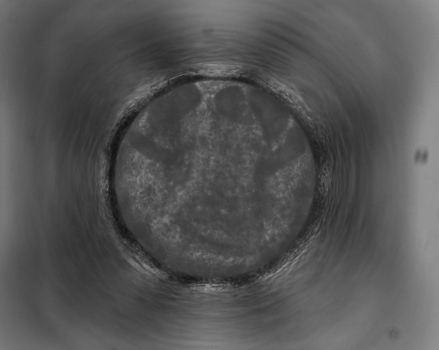 X0000097890303200804041317