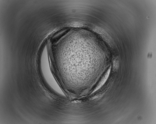 X0000097890304200804041317