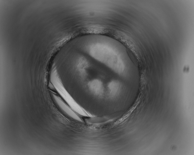 X0000097890305200804041317