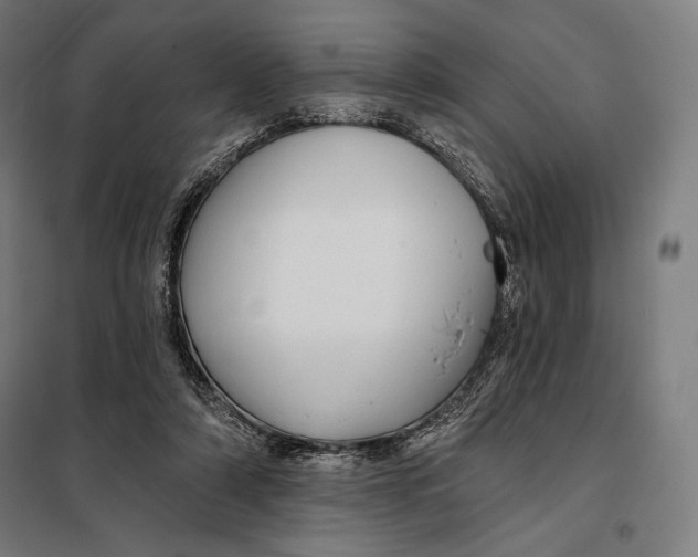 X0000097890306200804041316