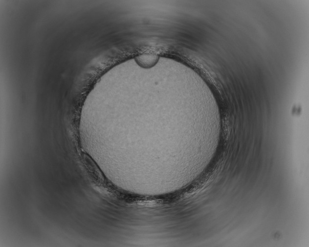 X0000097890307200804041316