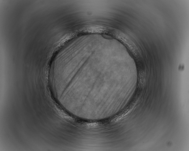 X0000097890309200804041316