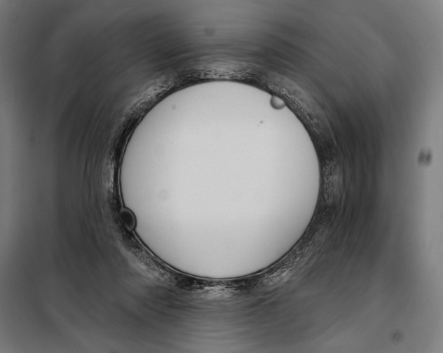 X0000097890310200804041316