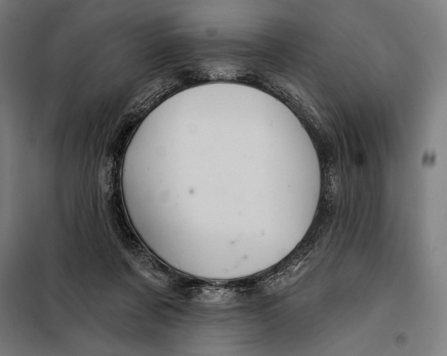 X0000097890311200804041316