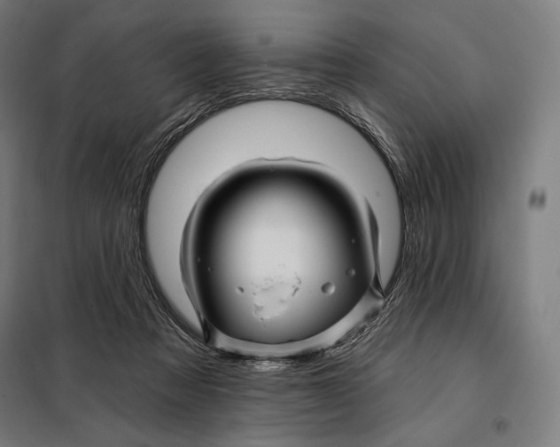 X0000097890313200804041316