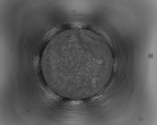 X0000097890314200804041316