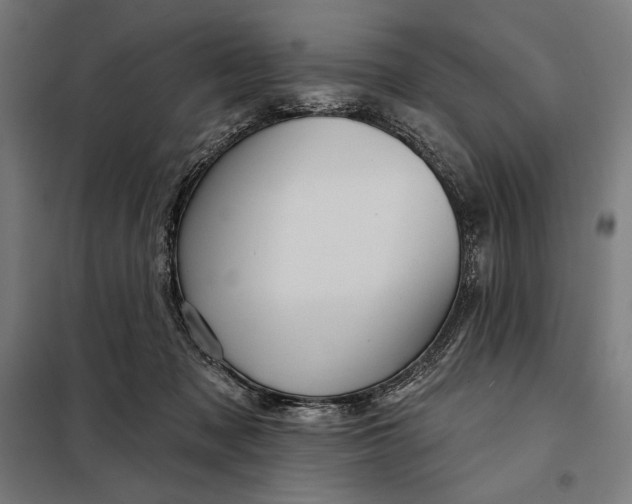 X0000097890317200804041316