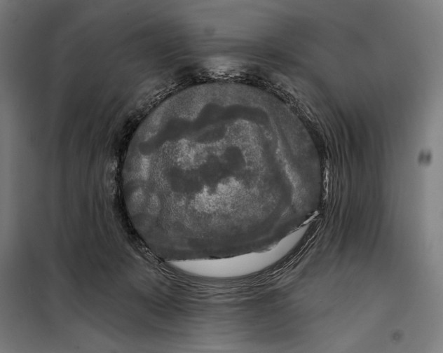 X0000097890319200804041316