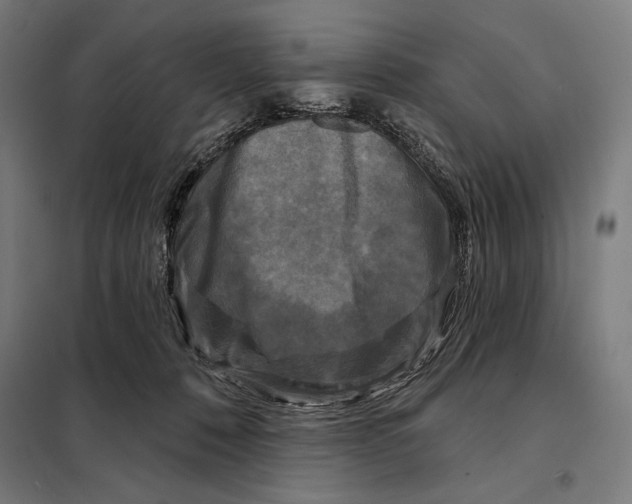 X0000097890320200804041316