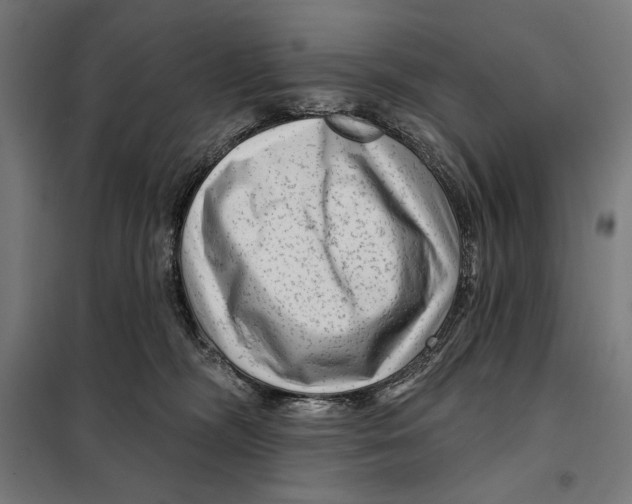 X0000097890326200804041316