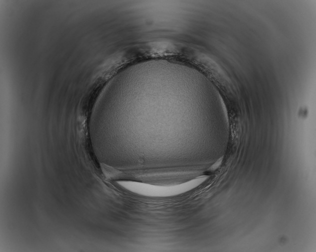 X0000097890327200804041316