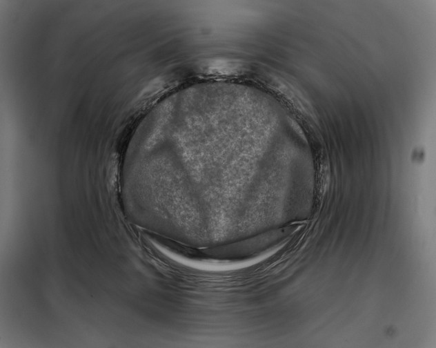 X0000097890328200804041316