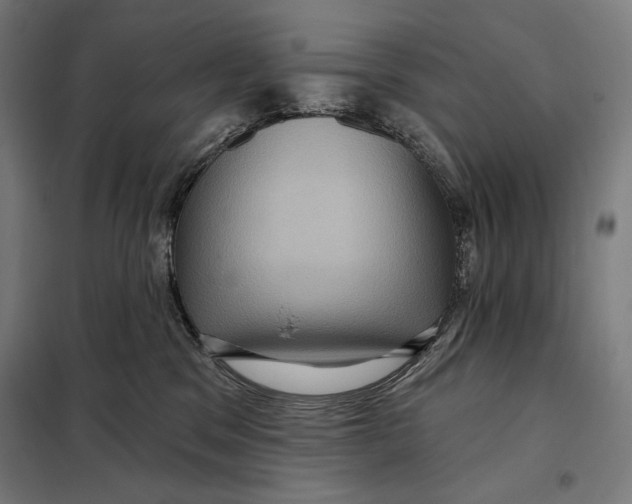 X0000097890329200804041316