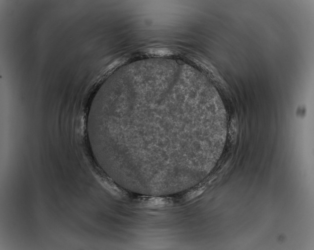 X0000097890330200804041316