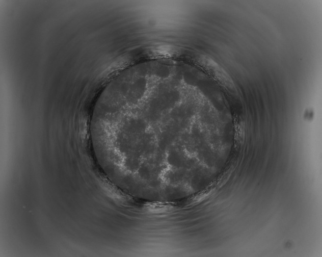 X0000097890331200804041316