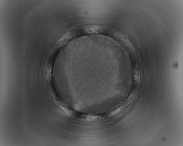 X0000097890332200804041316