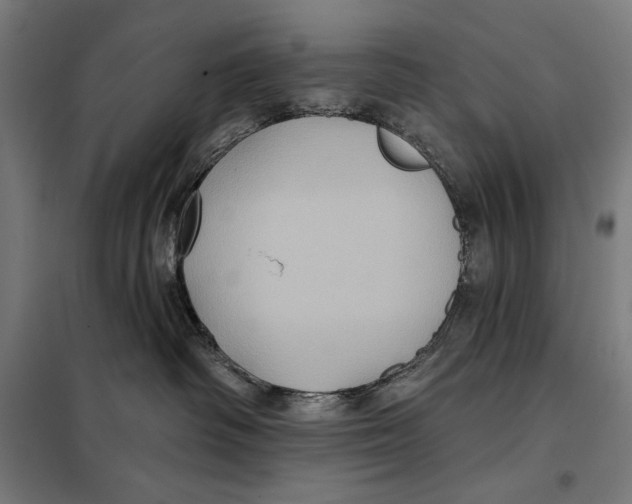 X0000097890334200804041316