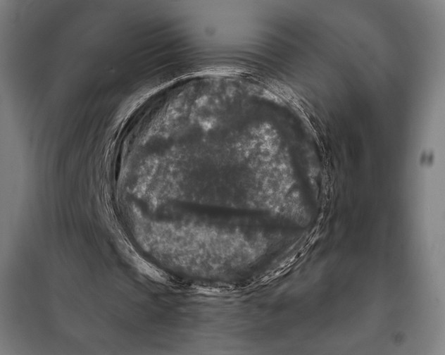 X0000097890337200804041315