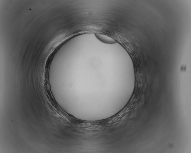 X0000097890338200804041315