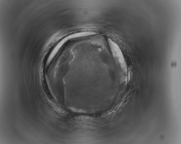 X0000097890339200804041315