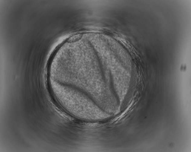 X0000097890342200804041315