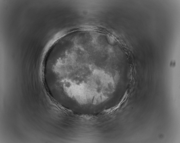 X0000097890343200804041315