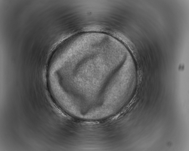 X0000097890345200804041316