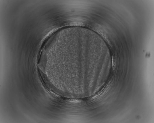 X0000097890348200804041316