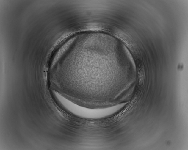 X0000097890350200804041316