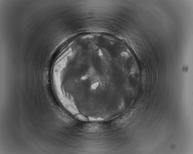 X0000097890351200804041316