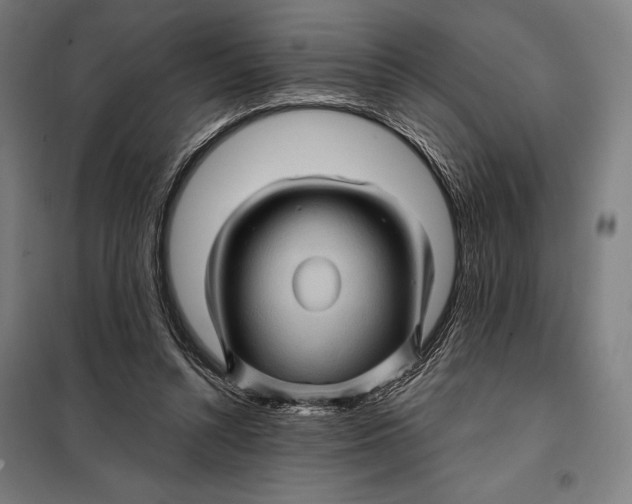 X0000097890352200804041316