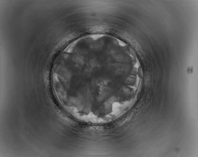 X0000097890353200804041316