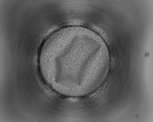 X0000097890354200804041316