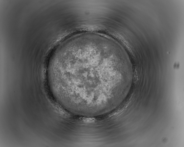 X0000097890355200804041316