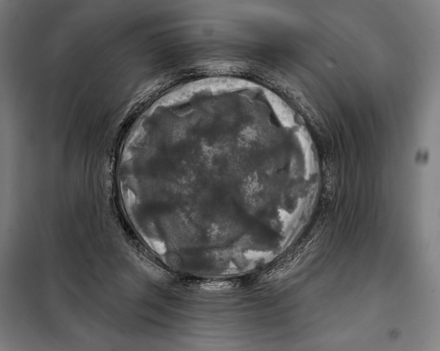 X0000097890357200804041316