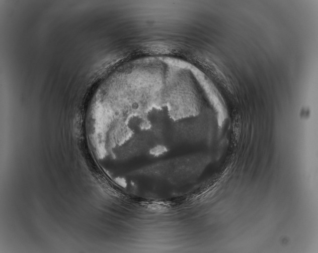 X0000097890359200804041316