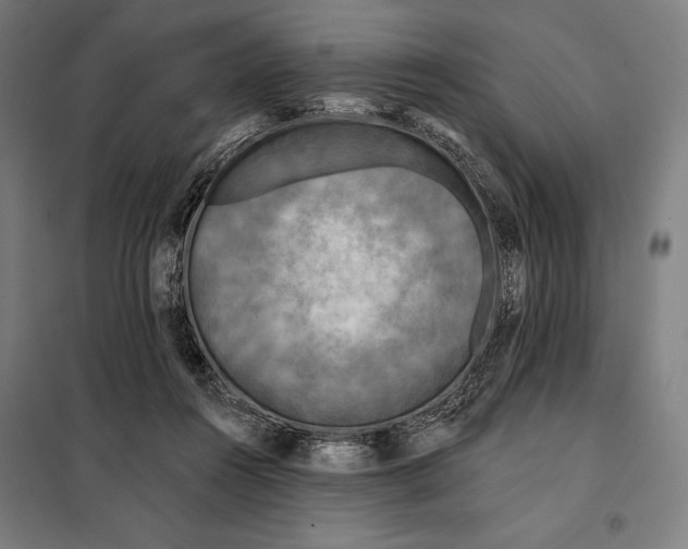 X0000097890360200804041316