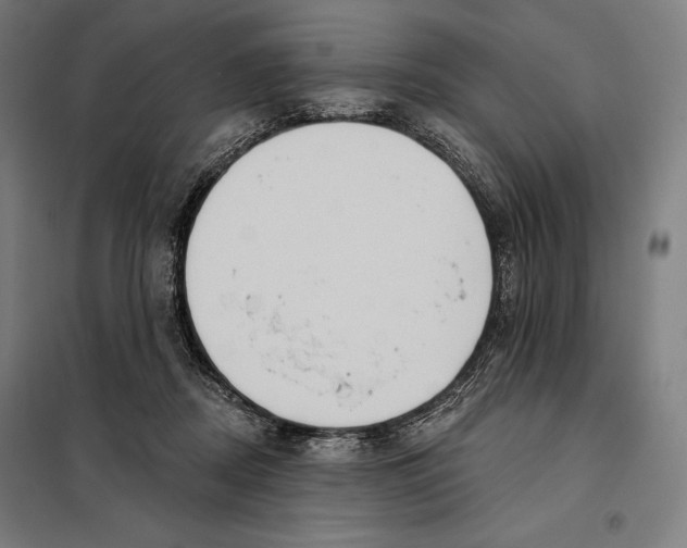 X0000097890362200804041316