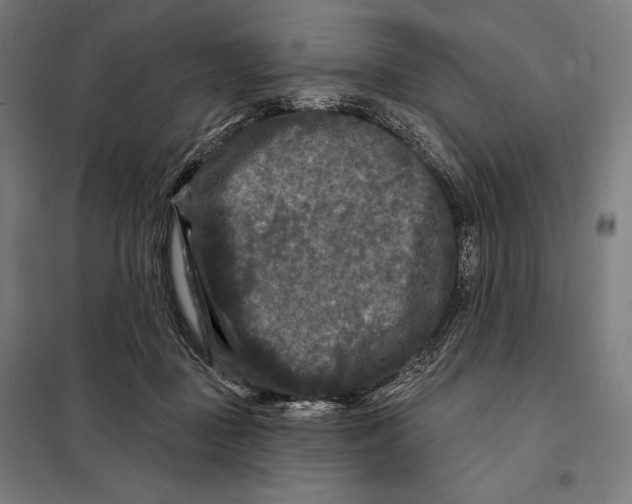 X0000097890363200804041316