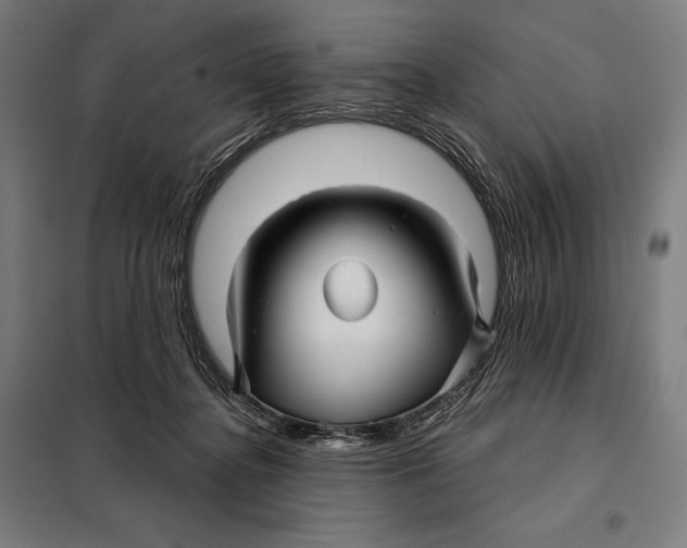 X0000097890364200804041316